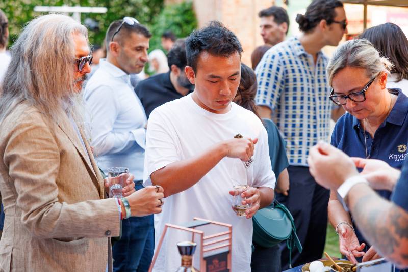 Kaviari Highlights W50BR25